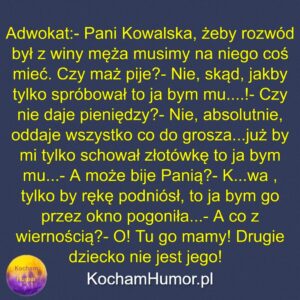 Rozwód Z Winy Męża
