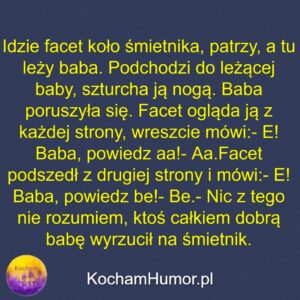 Baba Na Śmietniku