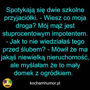 Niewielka Nieruchomość