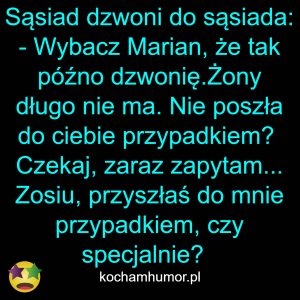 Wpadła Przypadkiem