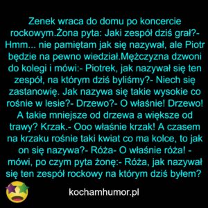 Zenek Na Koncercie Rockowym
