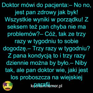 Rozterki Wiejskiego Proboszcza