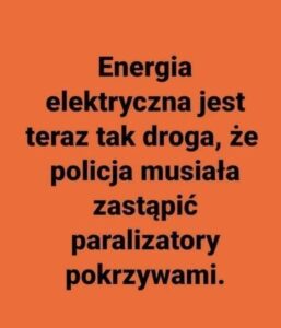 Elektryczna Pokrzywka