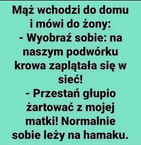 Krówka